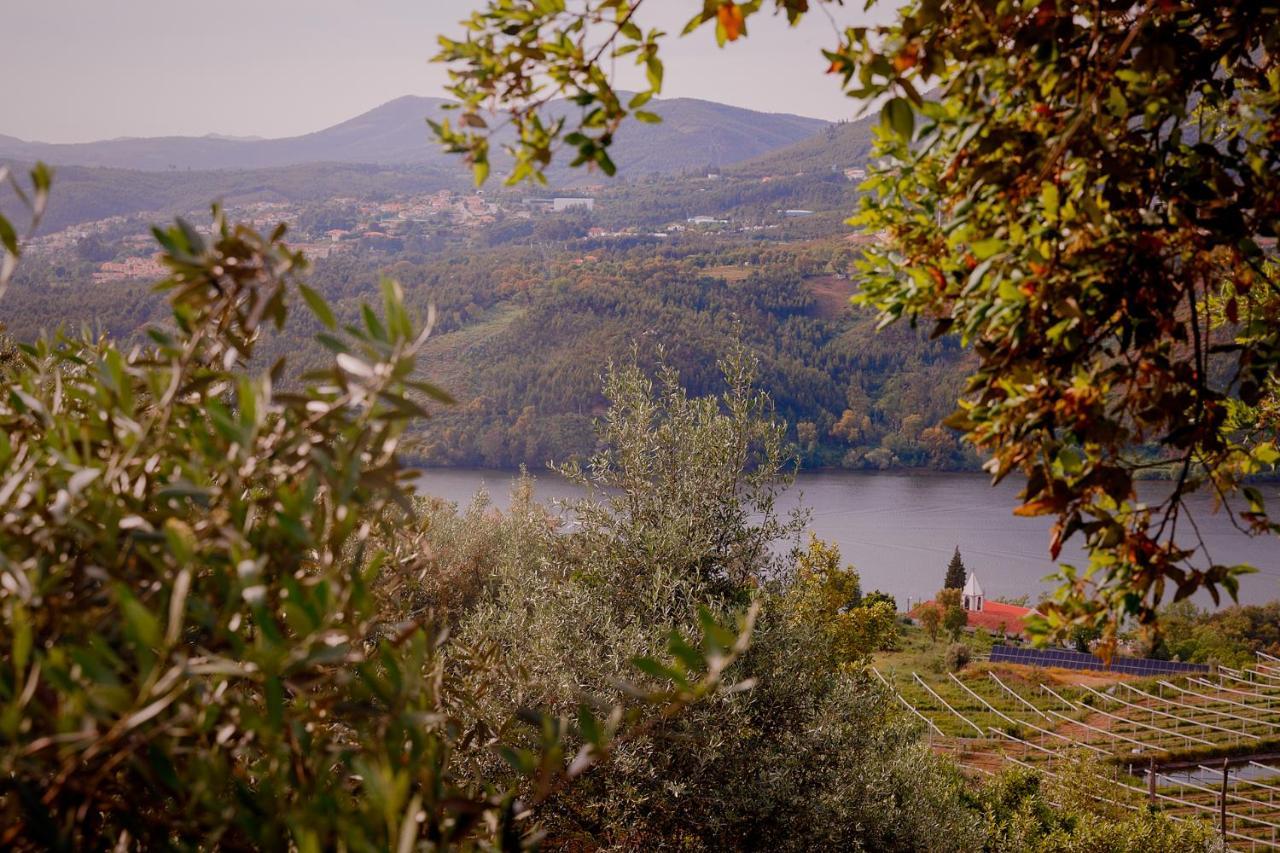 Arrabia Guest Houses Glamping Raiva Εξωτερικό φωτογραφία